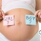 آیا می توان جنسیت کودک را در طول سه ماهه اول بارداری فهمید؟
