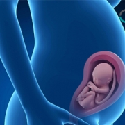 تشخیص علل نگرانی در سه ماهه ی دوم بارداری