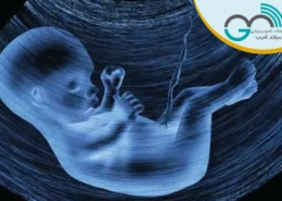 اهمیت سونوگرافی NT(تست غربالگری اوایل بارداری(/سونوگرافی میلاد غرب
